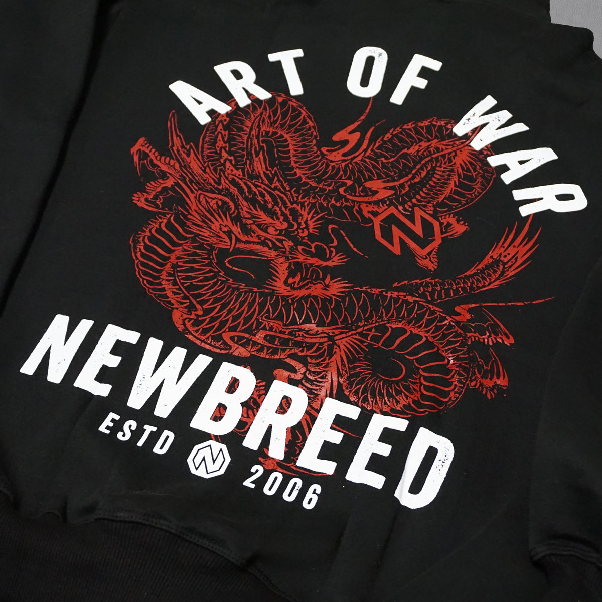 Art of War Hoodie YOUTH